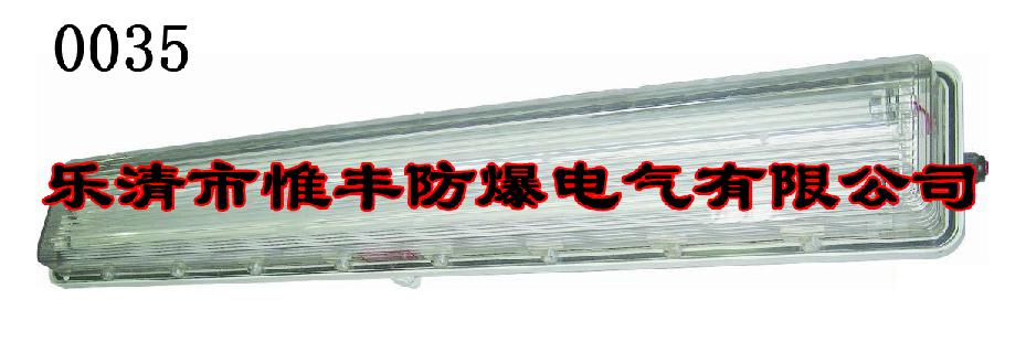 供应BYS系列防爆防腐全塑荧光灯